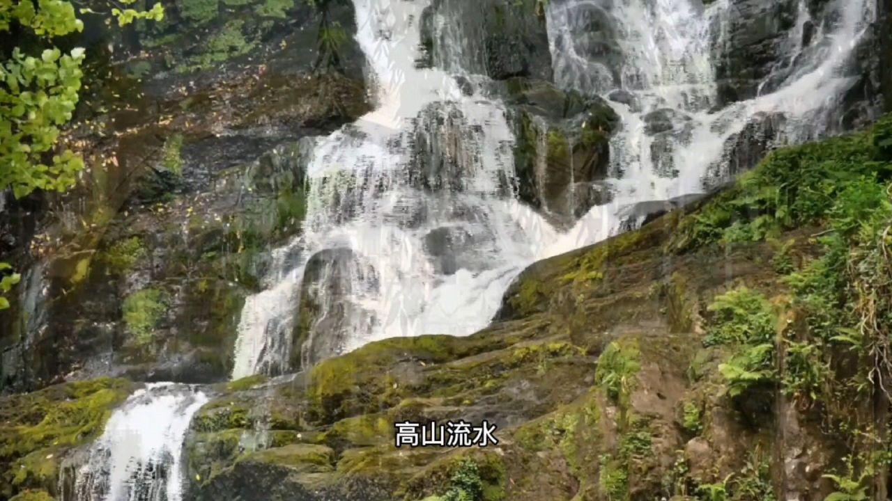 活力跳跳